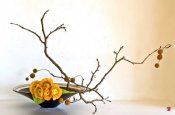 Ikebana